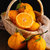 丑橘不知火 当季新鲜水果 柑橘 现摘现发(净重约5斤装)第2张高清大图