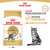 皇家ASA31美国短毛猫成猫全价猫粮10kg 体重管理 被毛亮泽第2张高清大图