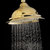 皇姿 淋浴花洒套装 铜升降杆不锈钢花洒头 金色淋浴喷头第5张高清大图