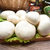 新鲜双孢菇口蘑白蘑菇食用菌煲汤烧烤绿色有机蔬菜蘑菇(4斤 精选装)第3张高清大图