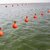 俊采云JCY-AA13浮球浮漂航海河道海洋浮标泡沫渔网体育馆游泳池游乐场ABS塑料材14*20cm直径2.5（单位：个）(红色 JCY-AA13)第5张高清大图