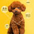 疯狂的小狗小型幼犬成犬肉松狗粮2kg 国美超市甄选第4张高清大图
