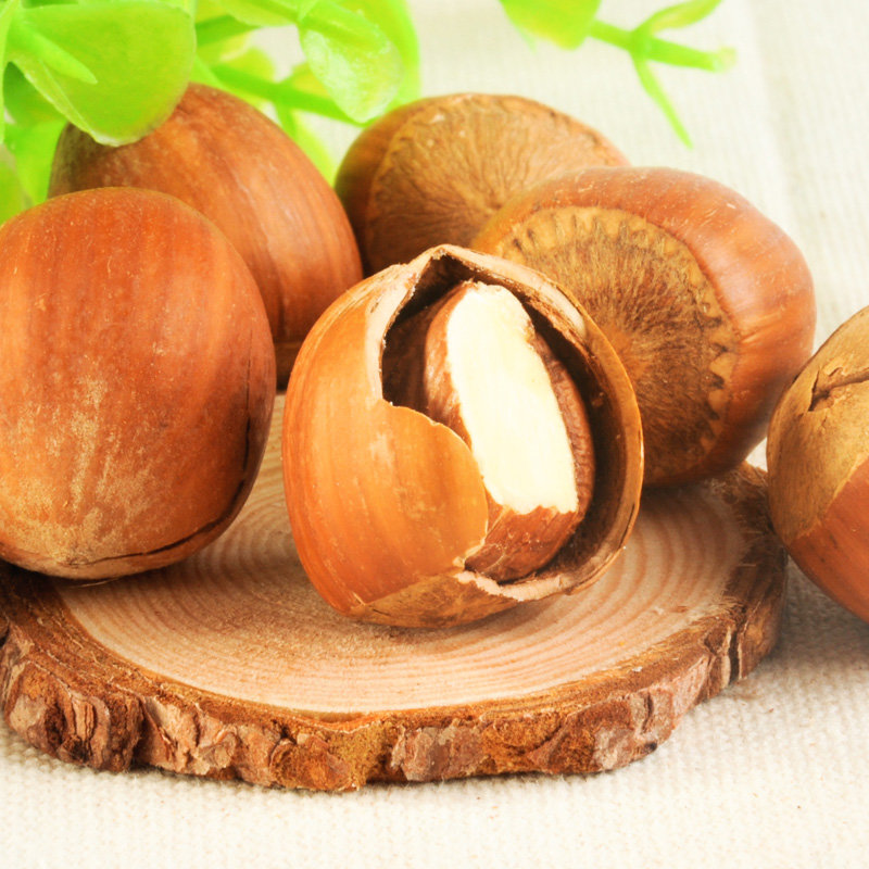 老顽童美国大榛子进口特产野生开口坚果松鼠零食三只包邮230g3