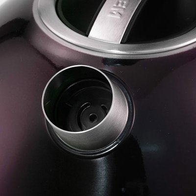 北鼎（BUYDEEM）K601电水煲（棕色）304全不锈钢开水壶 多段调温保温热水壶