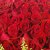 中礼鲜花速递 99朵红玫瑰花束 求婚示爱鲜花 永恒的爱第5张高清大图