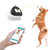 赖宝(Laibo) PETR-01 宠物陪伴机器人 猫狗自动喂食器 宠物狗陪伴玩具 智能机器人 宠物自动投食器第5张高清大图