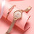 罗西尼CHIC系列时尚石英女表粉盘玫瑰金编织带619920G06F 国美超市甄选第4张高清大图
