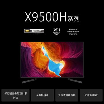 索尼(SONY) KD-49X9500H 49英寸 4K超高清HDR 图像处理芯片X1旗舰版 智能网络液晶平板电视(黑色 49英寸)