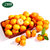 【食百味】四川蜜桔桔子 蜜橘橘子 新鲜水果 净重约5斤 免费配送第2张高清大图
