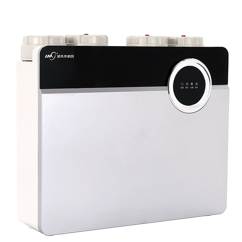 浪木lmro50e7s水处理设备纯水机五级精滤净纯双水