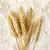 鲁花麦芯小麦粉 5kg 福花经典 适合制作馒头包子花卷面条第5张高清大图