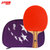 红双喜二星乒乓球拍横拍双面长反胶单拍附10只乒乓球+拍套T2003 国美超市甄选第2张高清大图