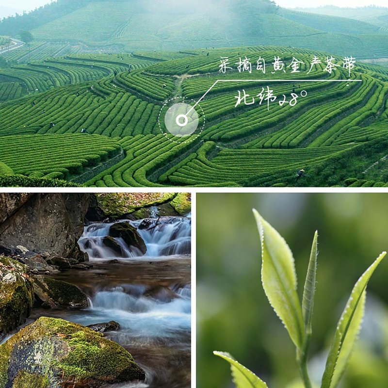 白沙溪安化天茯茶1kg黑茶湖南老字號