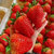 国美真选 顺丰空运 丹东99红颜草莓大果3斤装（单果20g-30g 约56颗 净重2.8斤+） 应季奶油红颜第7张高清大图