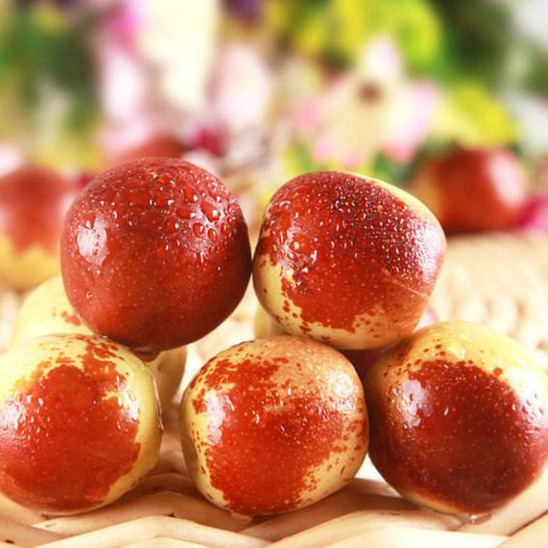 杞农优食山东沾化冬枣3斤中果清脆香甜核小无渣