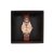蔻驰COACH时尚链条手表32MM 女士腕表 玫瑰金色(玫瑰金)第4张高清大图