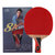 双鱼8A乒乓球拍直拍 芳基碳层底板双面反胶 国美超市甄选第9张高清大图