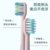 美的（Midea）电动牙刷 成人声波震动牙刷 亮白洁齿（双效刷头*2） 活力刷 情侣款 MC-AJ0201(粉色)第5张高清大图