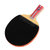 红双喜四星级乒乓球拍直拍对拍套装附乒乓球T4006 国美超市甄选第7张高清大图