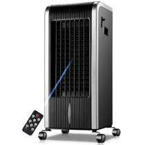 志高（chigo) FSE-12N 冷暖两用遥控型驱蚊空调扇 冷风扇 空调扇 电风扇 电暖器 取暖器 暖风机(黑色遥控)