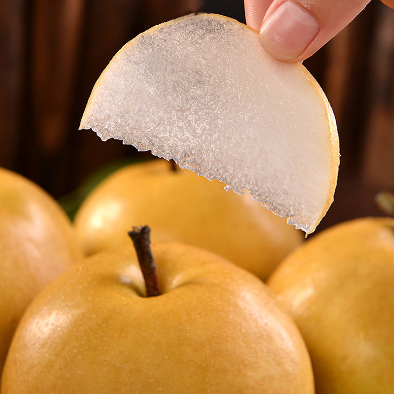 正宗山东莱阳老树秋月梨脆甜多汁精选果455斤79枚彩箱韵达包邮