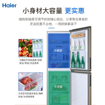 Haier/海尔 小冰箱无霜 家用电冰箱小型 风冷无霜 2级能效 BCD-170WDPT 静音双门(金色 170L)
