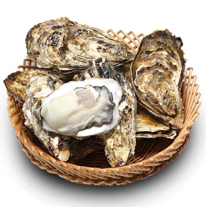 弘运德威海鲜活生蚝5斤装2xl号约1620只乳山新鲜牡蛎海蛎子
