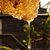 美美优品三峡橙蜜500g 纯天然 绿色 蜂蜜 美白养颜第4张高清大图