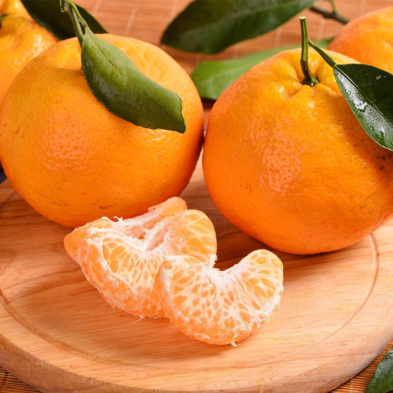 春见粑粑柑和不知火柑哪个更甜(春见柑橘和不知火) 春见粑粑柑和不知火柑哪个更甜(春见柑橘和不知火)