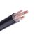 率龙电线电缆SL76国标电缆电线YJV3*35+1*16（单位：米）(默认)第2张高清大图