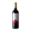 法国红酒 原装进口葡萄酒 法国巴隆庄园干红葡萄酒750ml*6礼箱装  媲美奔富