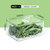禧天龙透明冰箱保鲜盒食物储物盒H-9098 可自由组合 分类收纳不串味第2张高清大图