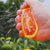峡江传橙【真选定制】中华红橙一级果大果（单果重190g+）9斤装 顺丰发货第4张高清大图