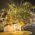 foojo圣诞装饰满天星LED彩灯闪灯串灯 10米100灯暖色插电款插电款 国美超市甄选第6张高清大图