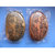 国内首枚鹅卵石形状（异形）大铜章——寂静的春天大铜章(紫铜)第5张高清大图