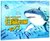 白鲨玛丽长大了(精)/海洋乐园情商系列第2张高清大图