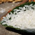 雪龙瑞斯有机稻花香大米5kg 当季新米五常大米东北大米第5张高清大图