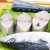 盖世冷冻鲅鱼 500g/条 1条 国产 整条40-50cm 饺子食材 生鲜鱼类 海鲜水产 国美超市甄选第5张高清大图