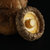 北大荒绿野香菇150g 东北菌菇蘑菇肉厚无根炖汤煲汤火锅食材东北特产山珍干货第6张高清大图