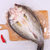 仙泉湖珠海特产三去白蕉海鲈鱼净膛后500~600g烧烤食材轻食海鲜 国美超市甄选第4张高清大图