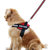 迪普尔狗狗胸背带加牵引绳套装红色M号M 中大型犬第7张高清大图