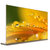 创维(Skyworth) 65W8 65英寸OLED智能4K超高清彩电HDR超薄平板电视 (金色)第3张高清大图