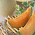 【罗花岭-产地直供】西州蜜25号甜蜜网纹瓜(5斤 水果)第4张高清大图