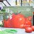 新疆沙瓤西红柿新鲜蔬果产地直发自然熟水果 4.8-5斤装(疆小柿礼盒装)第3张高清大图