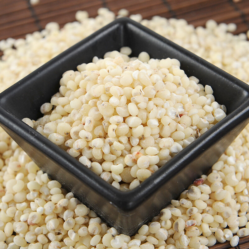 朱碌科有机高粱米1500g东北饭高粱白高粱米真空量贩装粥米伴侣东北