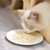 N1 爱宠爱猫玉米豆腐猫砂6.5kg米 无尘除味易结团第6张高清大图
