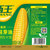 西王非转基因压榨玉米油食用油玉米胚芽油1.8L*2 国美超市甄选第4张高清大图