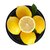 宸品仙四川安岳黄柠檬5斤装单果60g起 酸甜多汁第4张高清大图