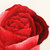 千莹 重工单面绣『不变的爱 』红玫瑰花 装饰画 工艺礼品第2张高清大图
