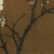 【原作高清复刻】名画《五色鹦鹉》  横幅 绢本 宋 赵佶 国画 高清 文化 装饰 艺术品第5张高清大图